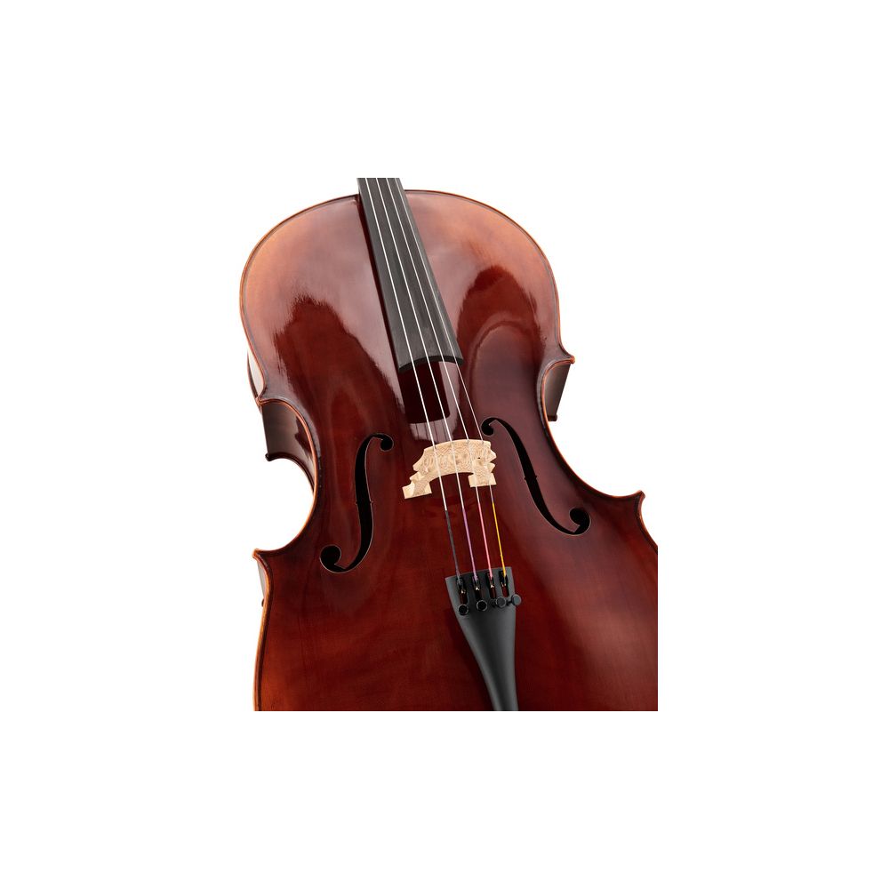Gewa Maestro 6 Antique Cello 4/4 – Thomann Ireland