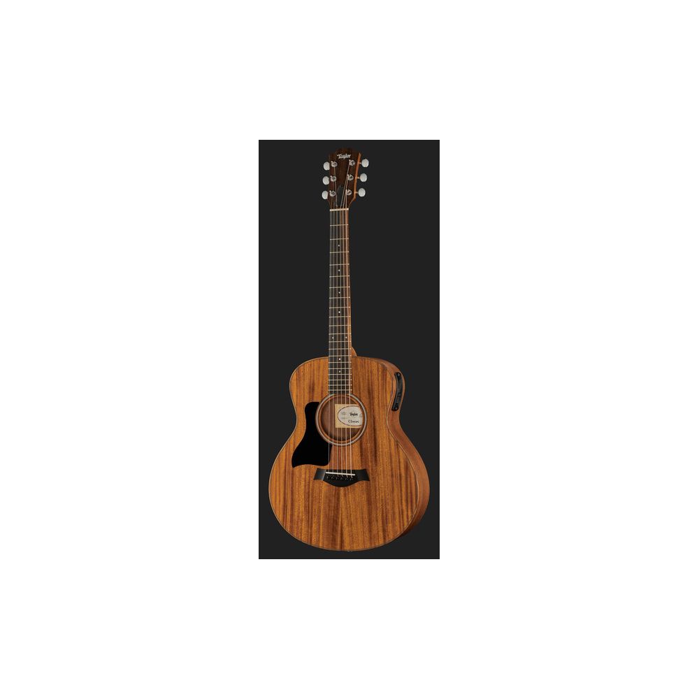 Taylor GS Mini