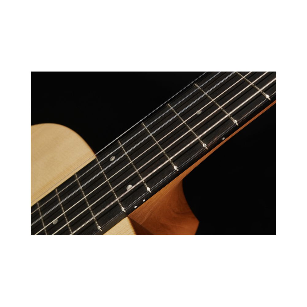 Taylor Academy Series 12