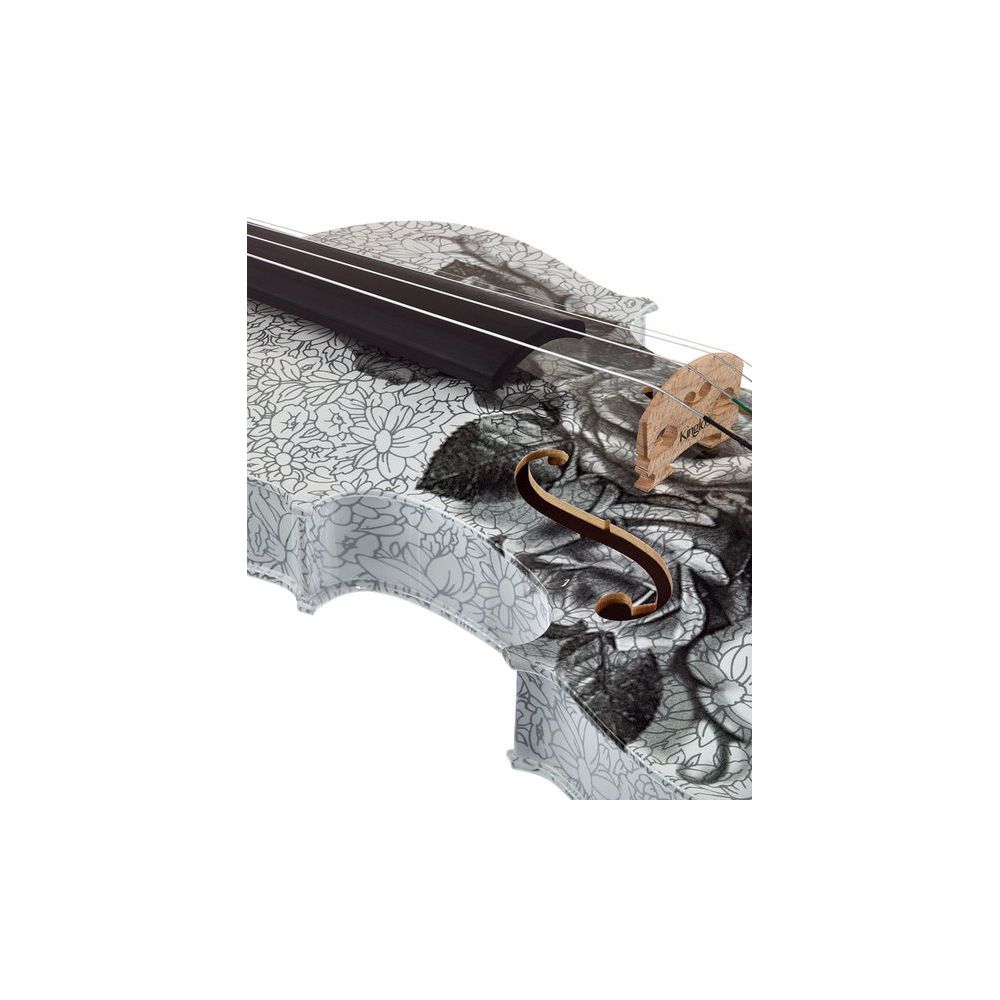 Thomann Black Rose Violin Set 4/4 – Thomann Ireland