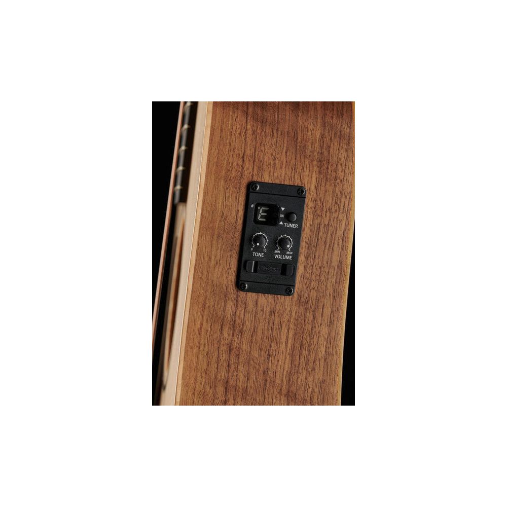 Taylor Big Baby Taylor BBTe