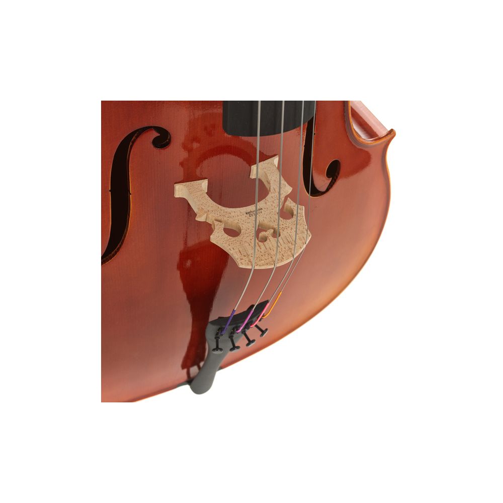 Gewa Maestro 1 Cello 4/4 – Thomann Ireland