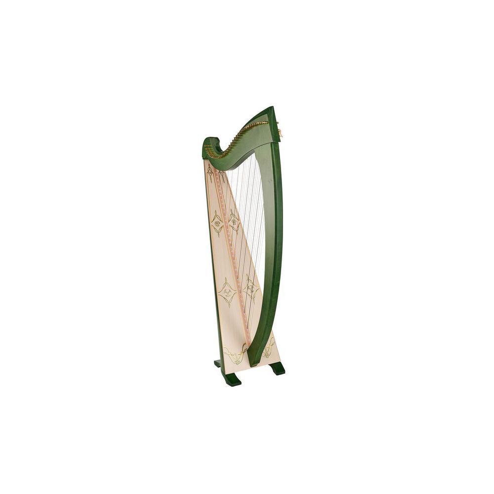 Salvi Una Deluxe Green Silkgut – Thomann Ireland
