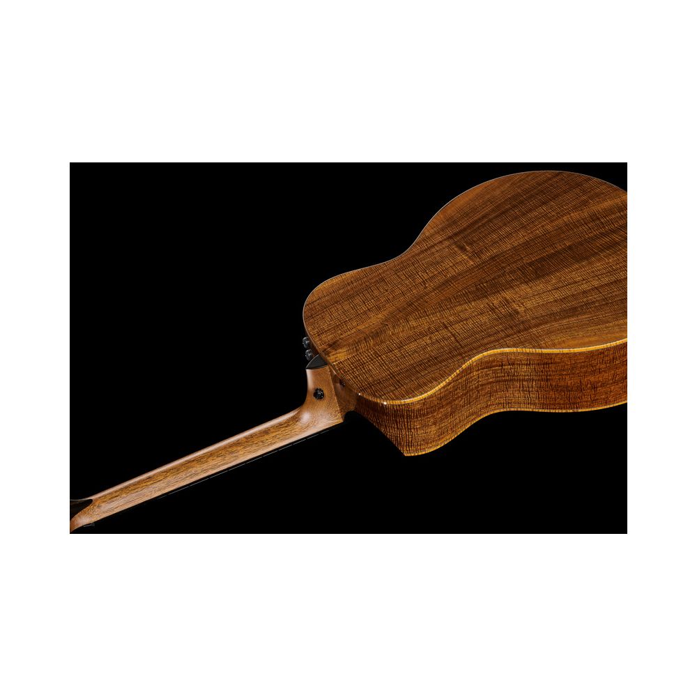 Taylor Custom #30 GS – Thomann Ireland