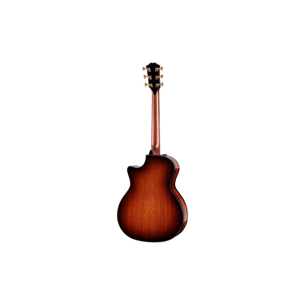Taylor PS14ce Figured Urban Ironback – Thomann Ireland