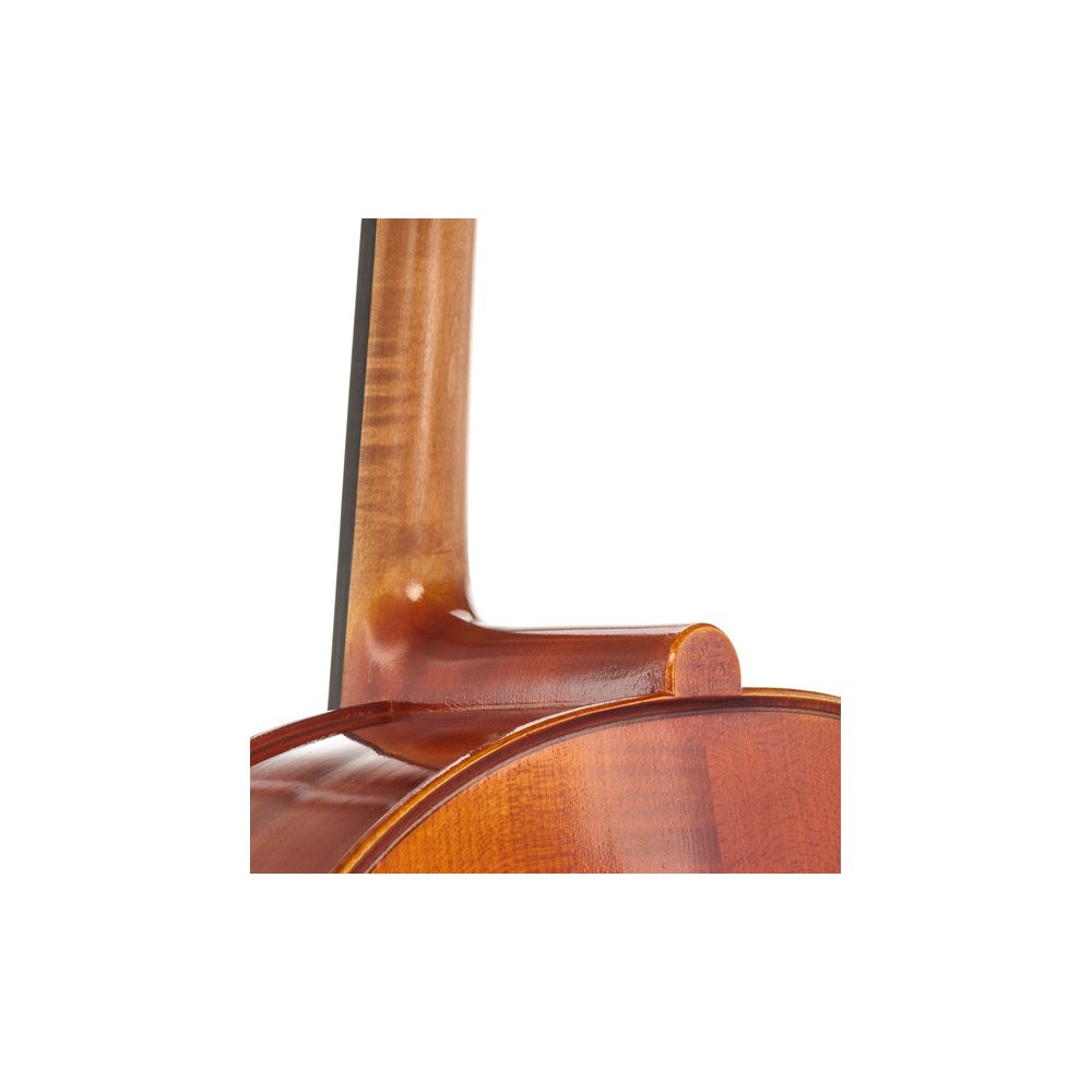 Gewa Maestro 1 Cello 4/4 – Thomann Ireland