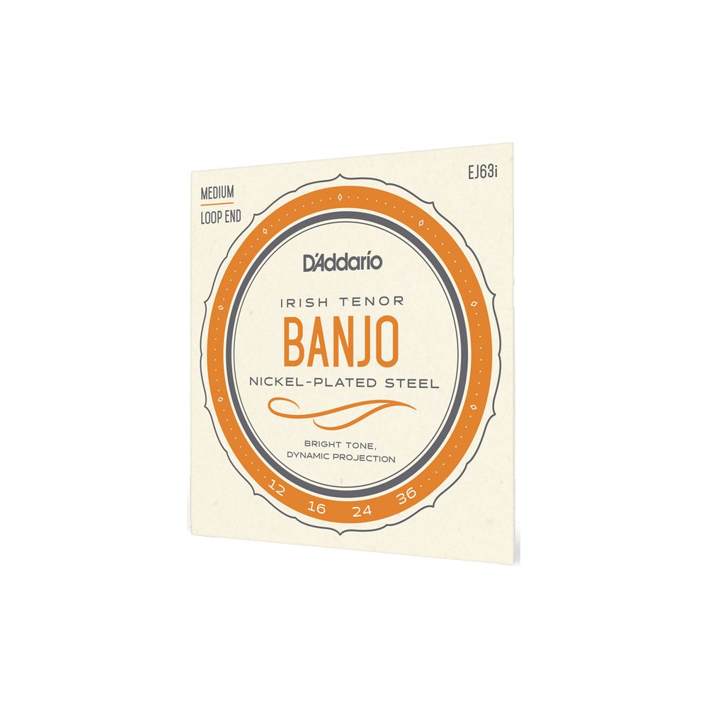 Daddario EJ63i Irish Tenor Banjo Set – Thomann Ireland