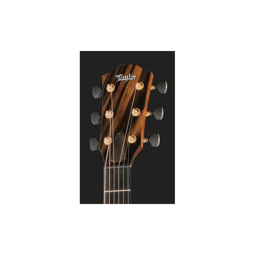 Taylor Custom #6 GA – Thomann Ireland
