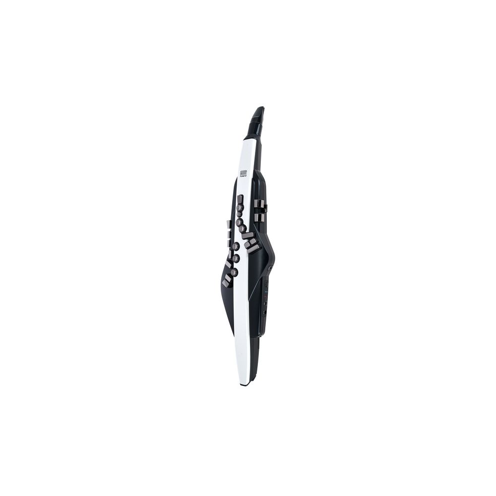 Roland Aerophone AE