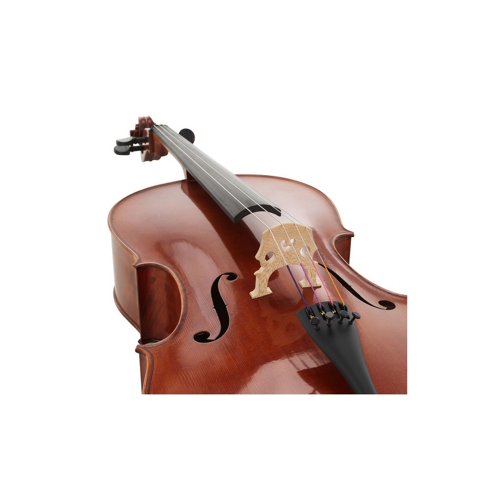 Gewa Maestro 31 Cello 4/4 – Thomann Ireland