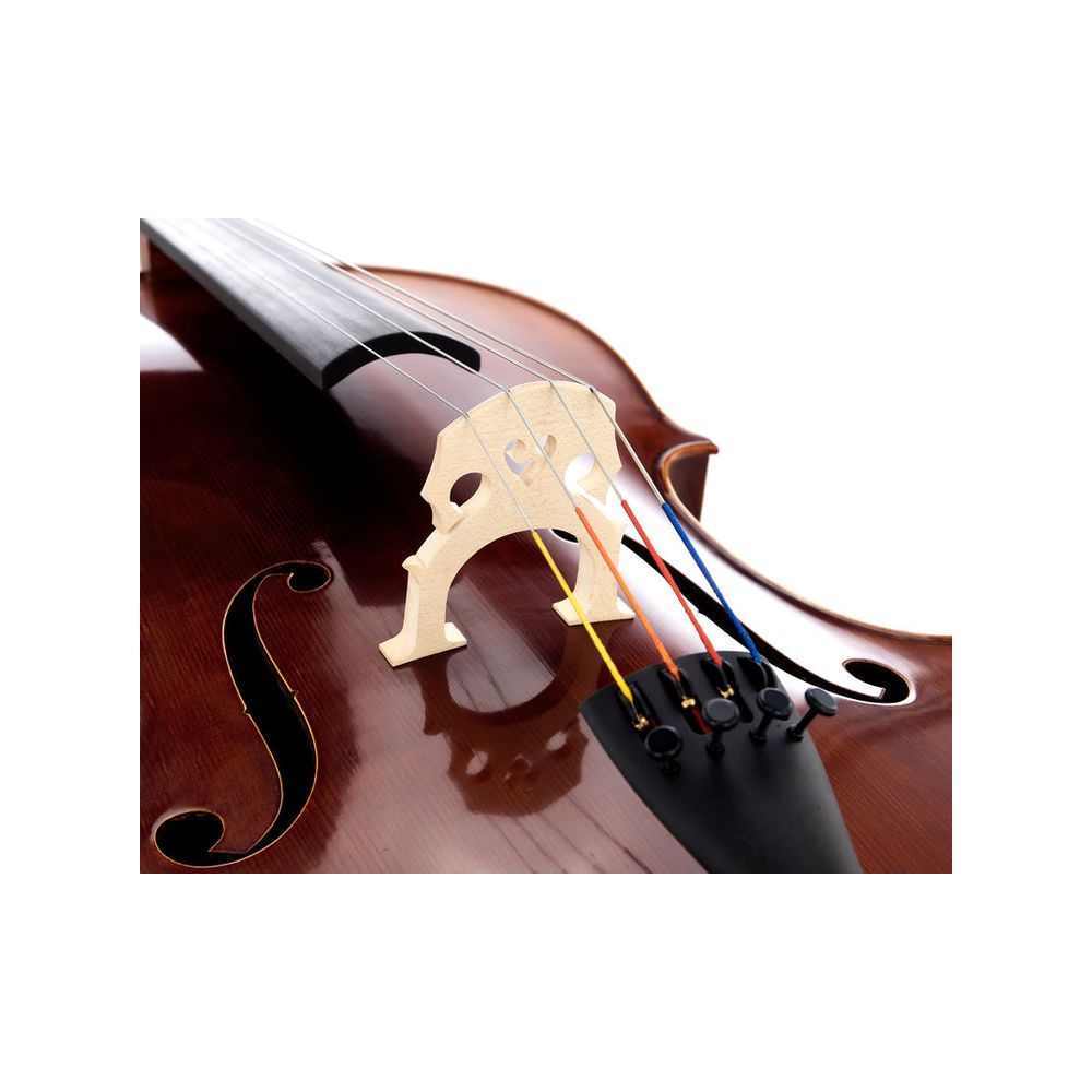 Gewa Maestro 6 Lefthanded Cello 4/4 – Thomann Ireland