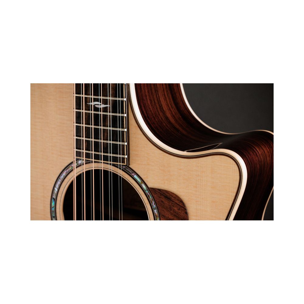 Taylor 854ce – Thomann Ireland