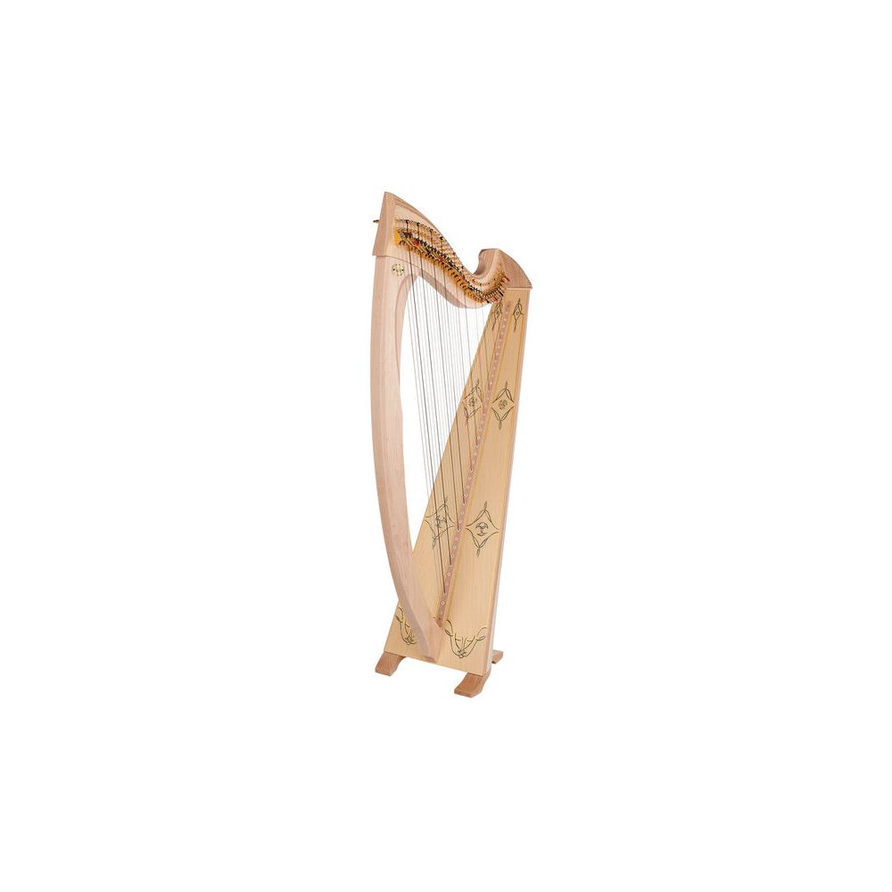 Salvi Una Deluxe Natural Silkgut – Thomann Ireland