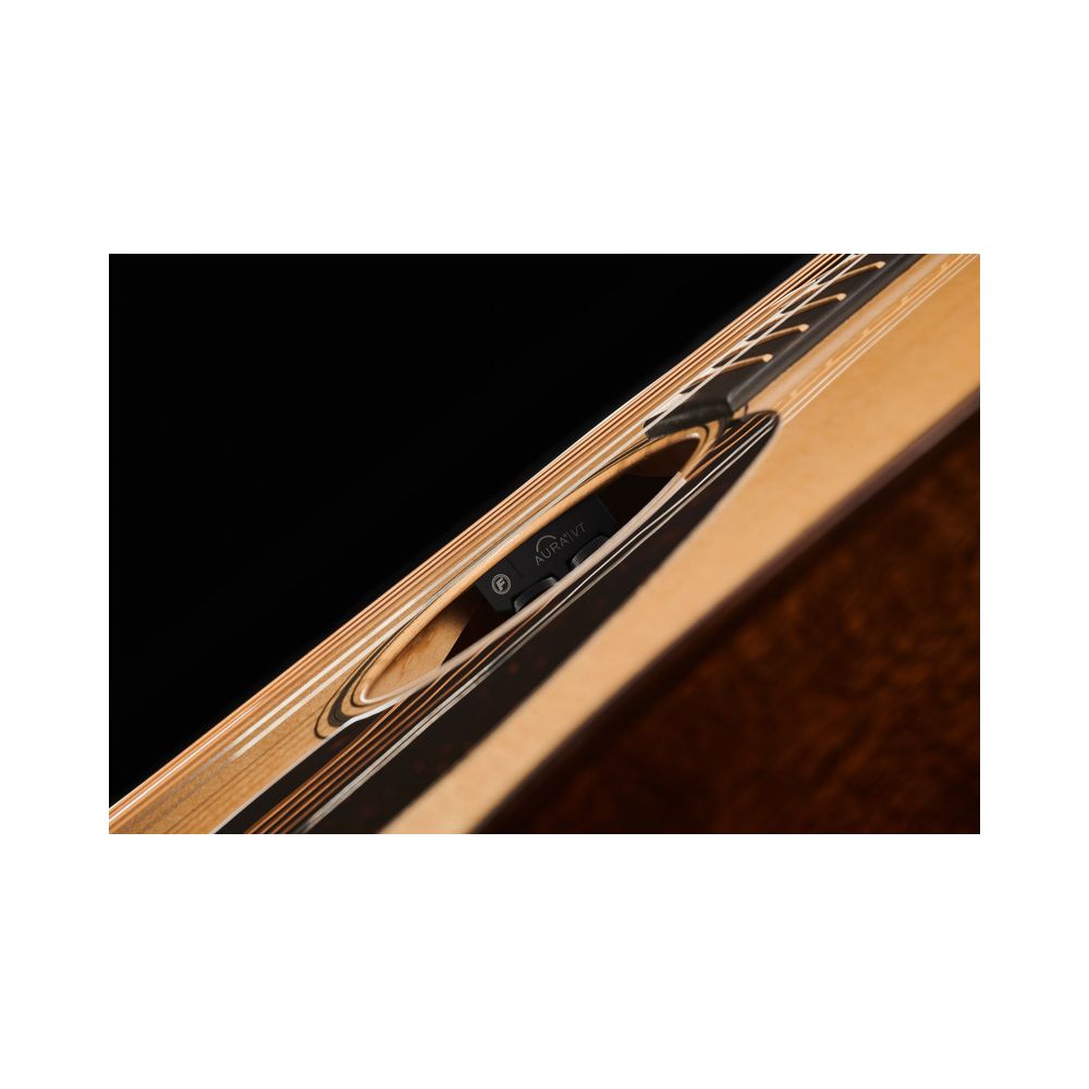 Martin Guitar D