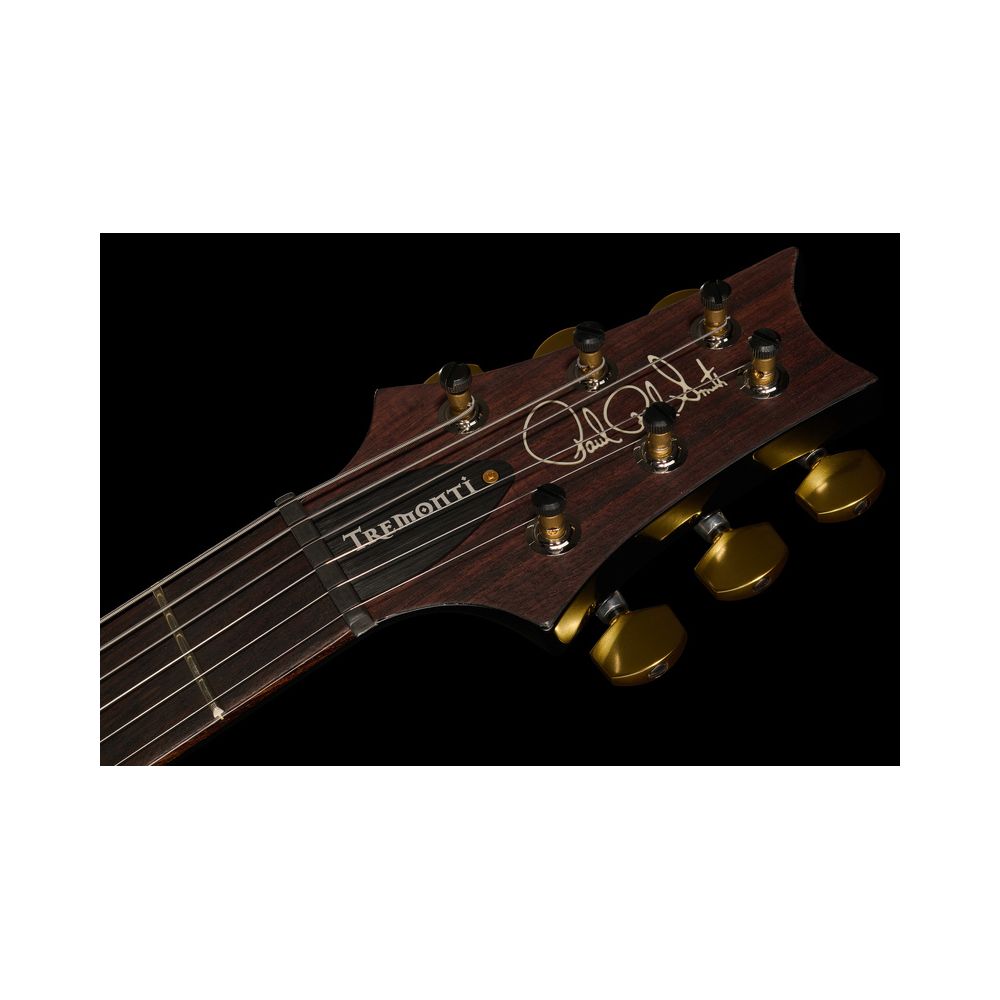 PRS Mark Tremonti FW 10 Top ST – Thomann Ireland