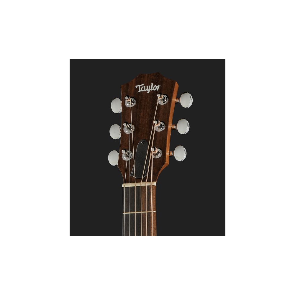 Taylor GS Mini