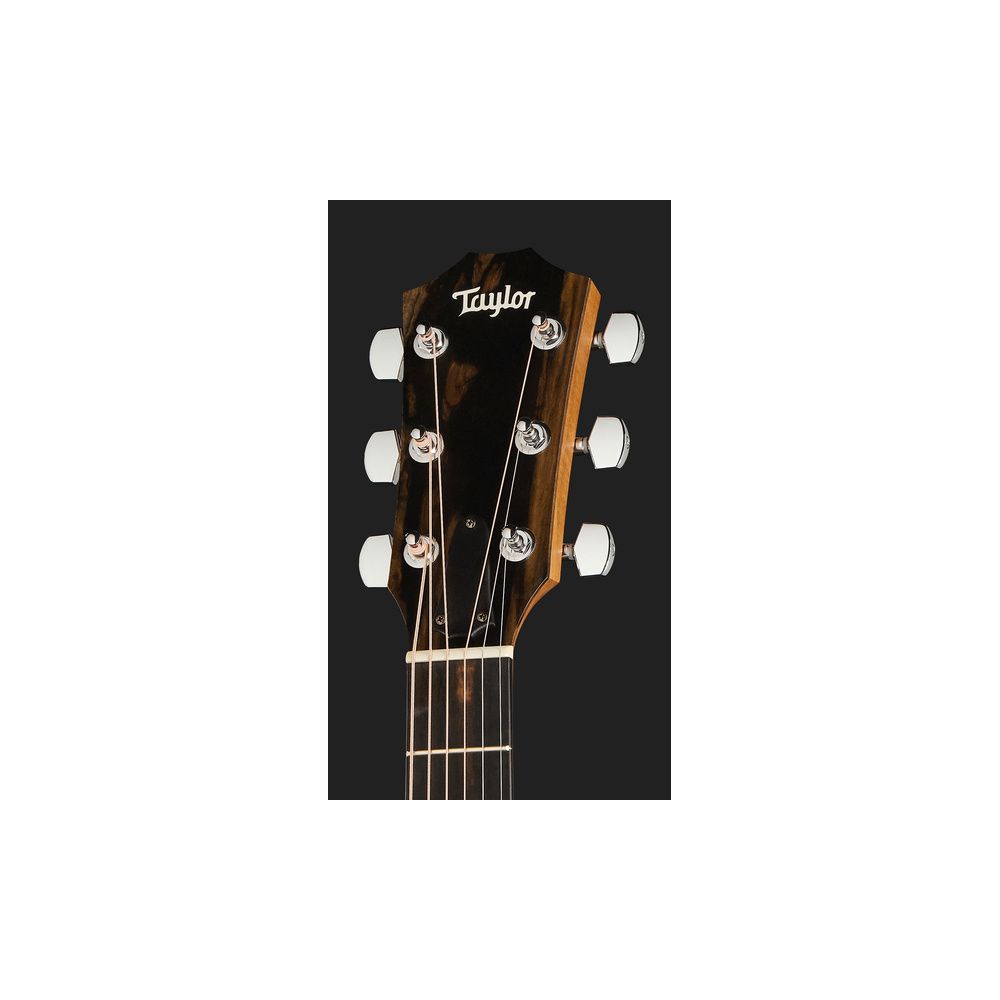 Taylor 117e Grand Pacific – Thomann Ireland