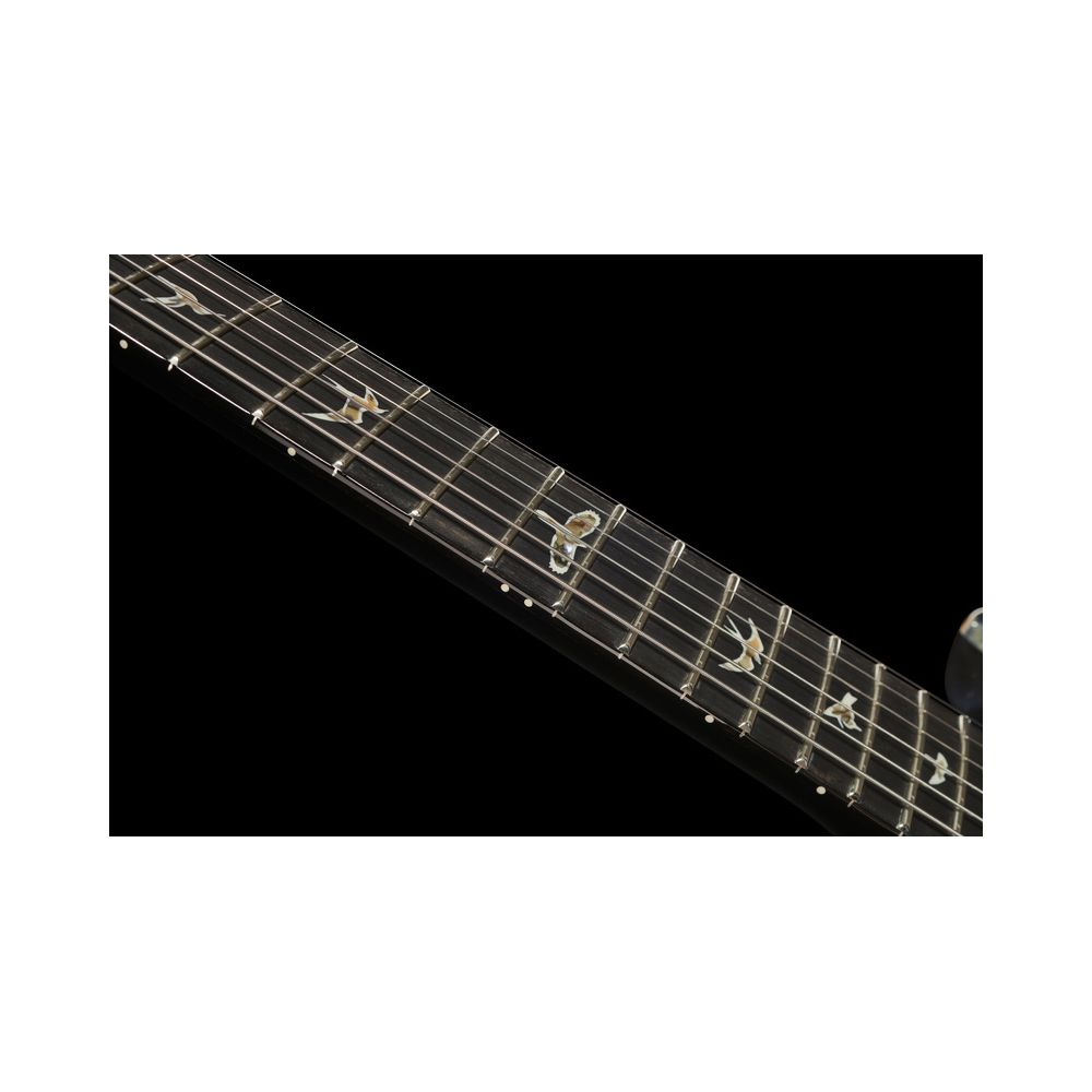 PRS Custom 24 Floyd FW – Thomann Ireland