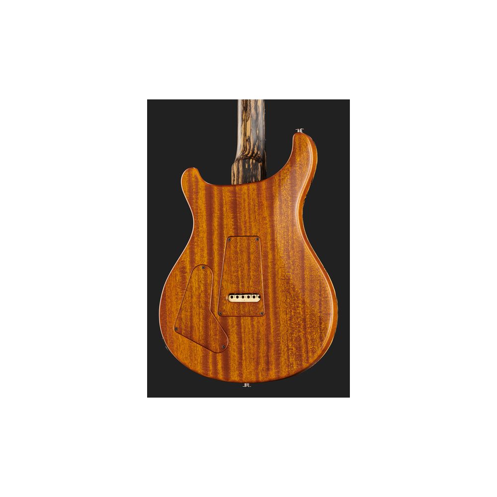 PRS Special 22 SH PS Pale Moon – Thomann Ireland