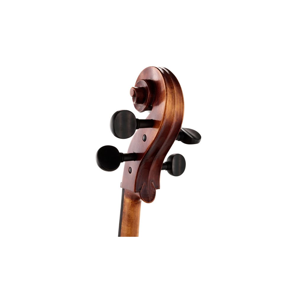 Gewa Maestro 6 Antique Cello 4/4 – Thomann Ireland