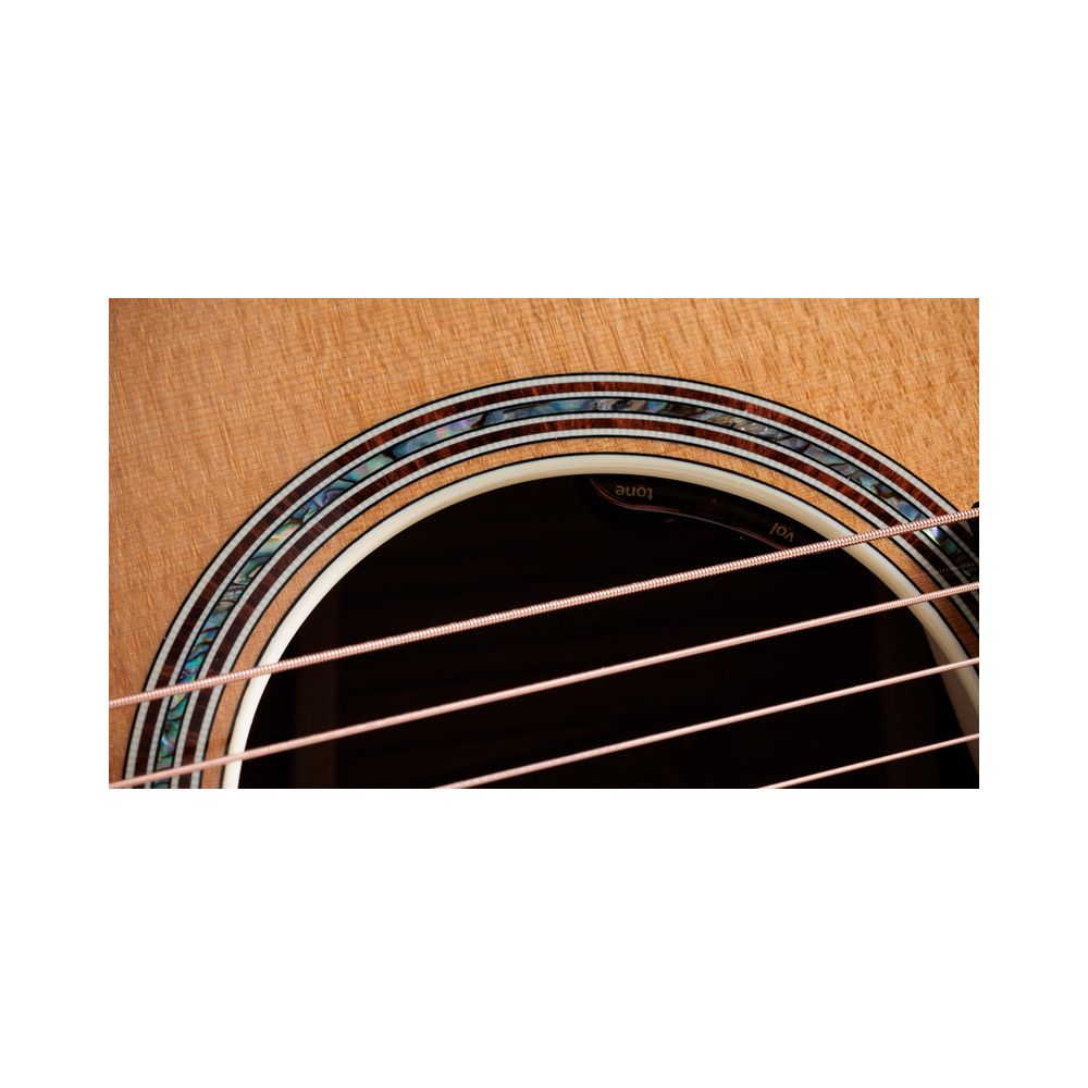 Taylor Gold Label 814e – Thomann Ireland