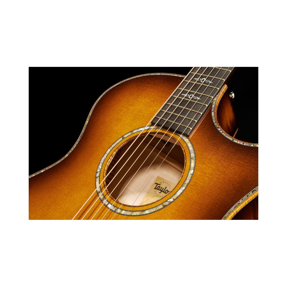 Taylor Custom #12 Gr. Audit. Bushfire – Thomann Ireland