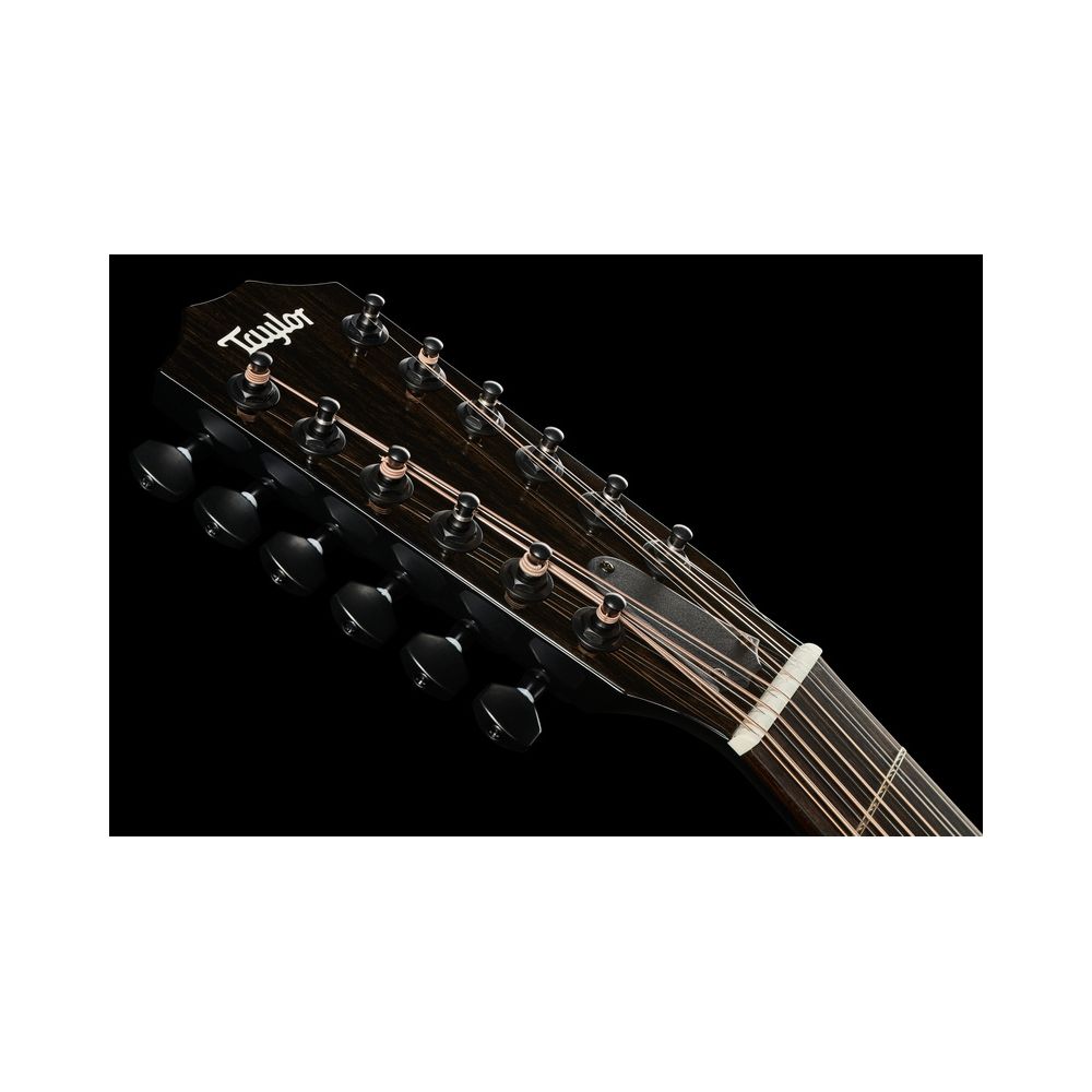 Taylor 250ce