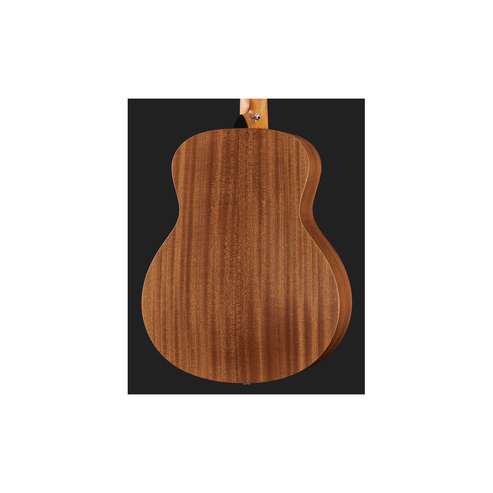 Taylor GS Mini