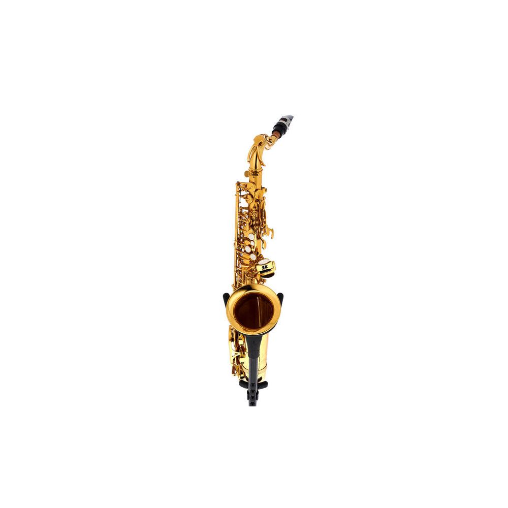 Thomann Little Bee Kids Saxophone – Thomann Ireland