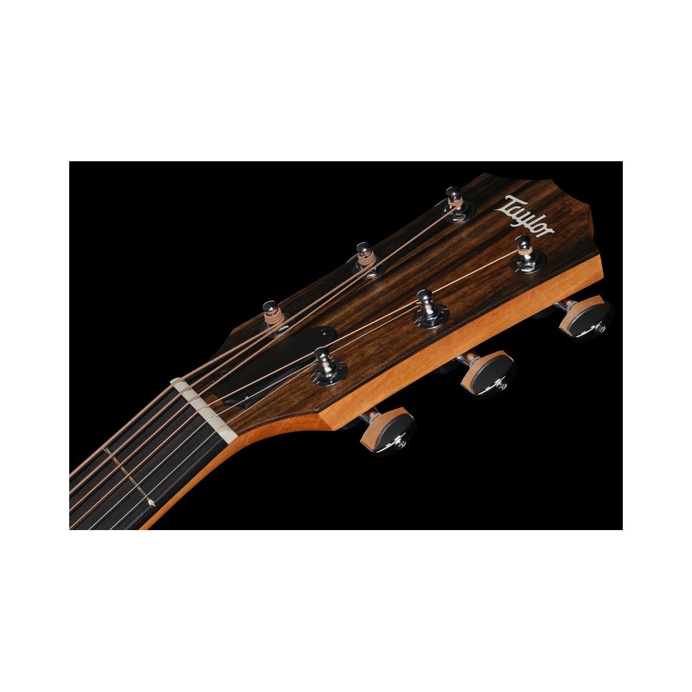 Taylor 210ce – Thomann Ireland