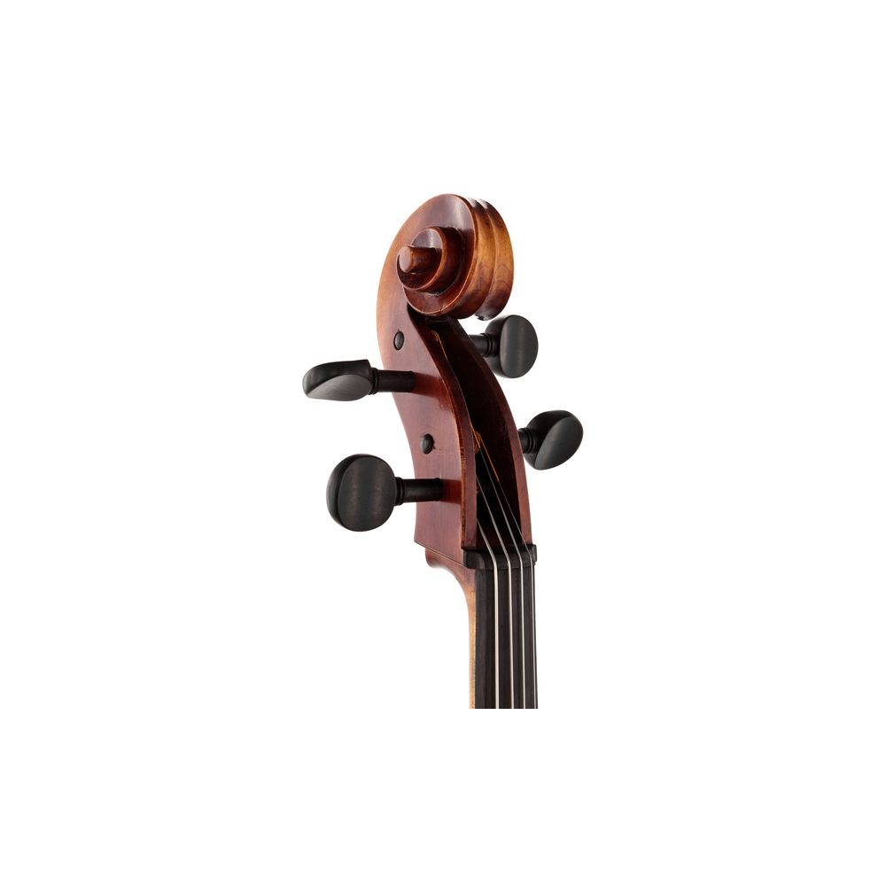 Gewa Maestro 6 Antique Cello 4/4 – Thomann Ireland