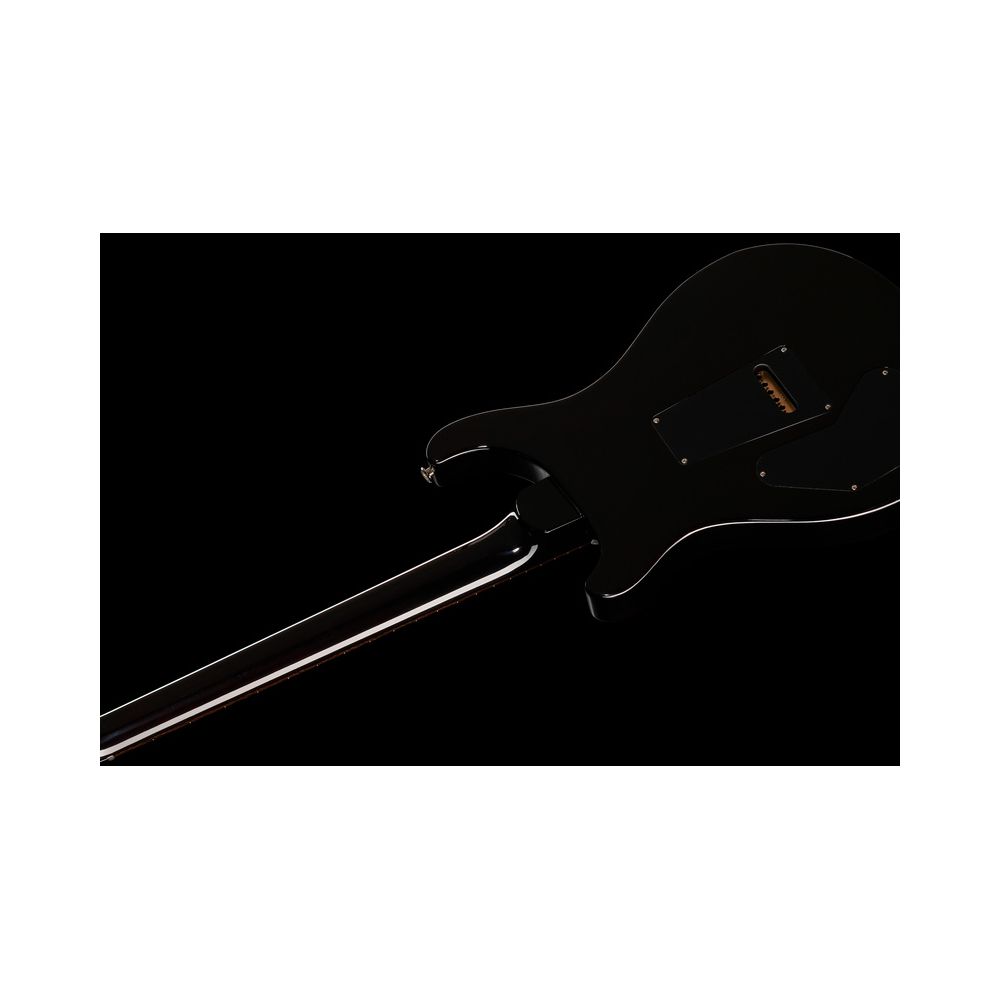PRS DGT Birds Black Gold Burst '24 – Thomann Ireland