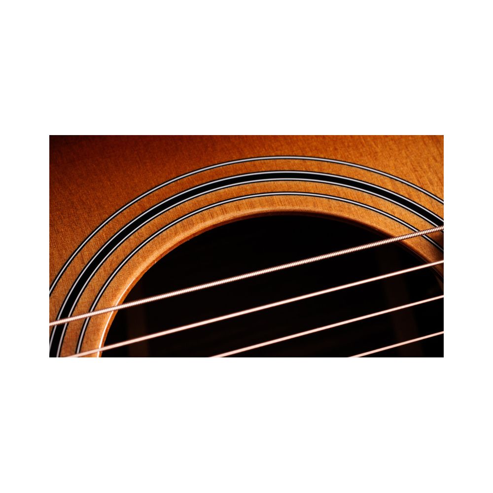 Taylor 414ce Studio Shaded Edgeburst – Thomann Ireland