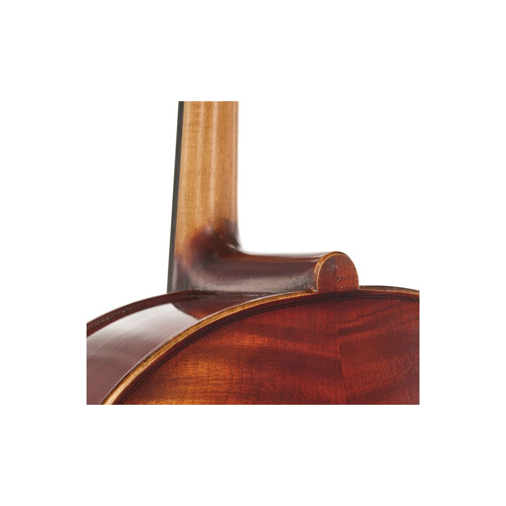 Gewa Maestro 2 Cello 4/4 – Thomann Ireland