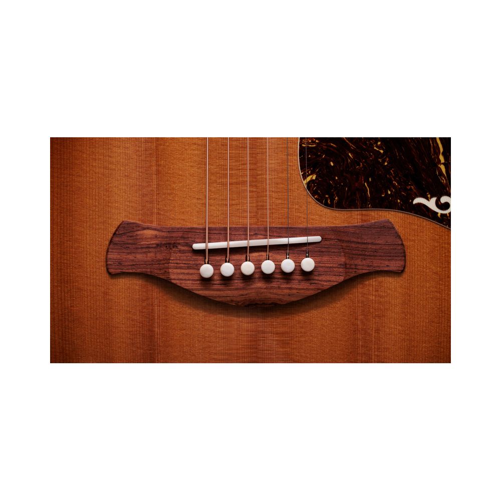 Taylor Gold Label 814e Sunburst – Thomann Ireland