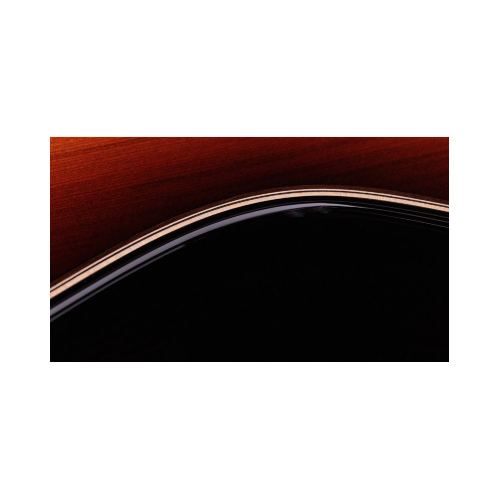 Taylor Builder’s Ed. 814ce Sinker – Thomann Ireland