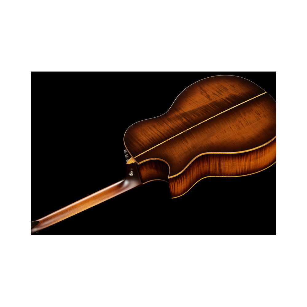 Taylor Custom #12 Gr. Audit. Bushfire – Thomann Ireland