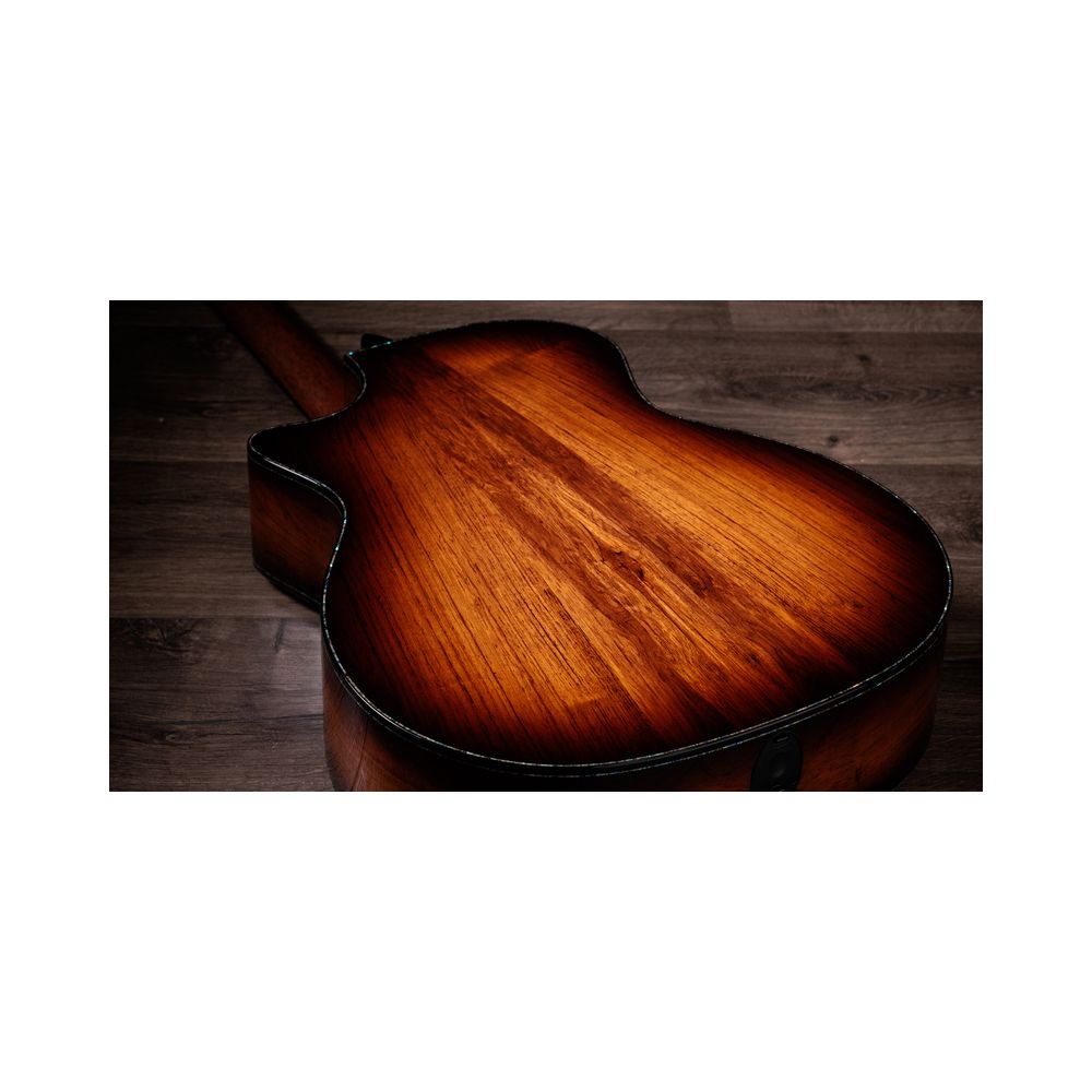 Taylor PS54ce – Thomann Ireland