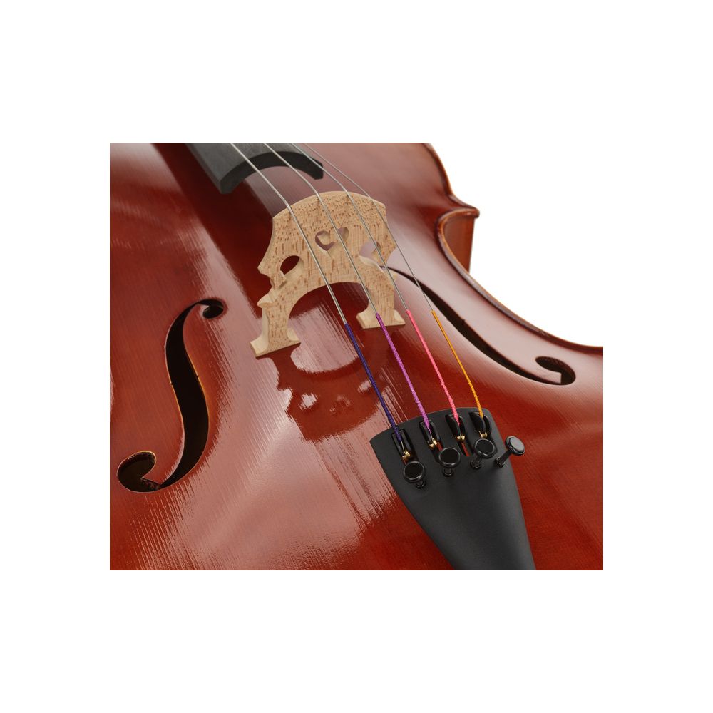 Gewa Maestro 1 Cello 4/4 – Thomann Ireland