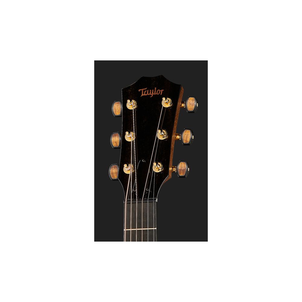 Taylor Custom #30 GS – Thomann Ireland