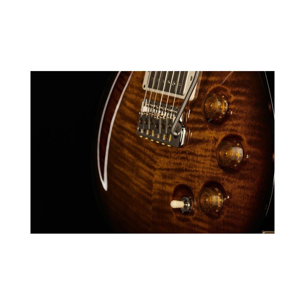 PRS DGT Birds Black Gold Burst '24 – Thomann Ireland
