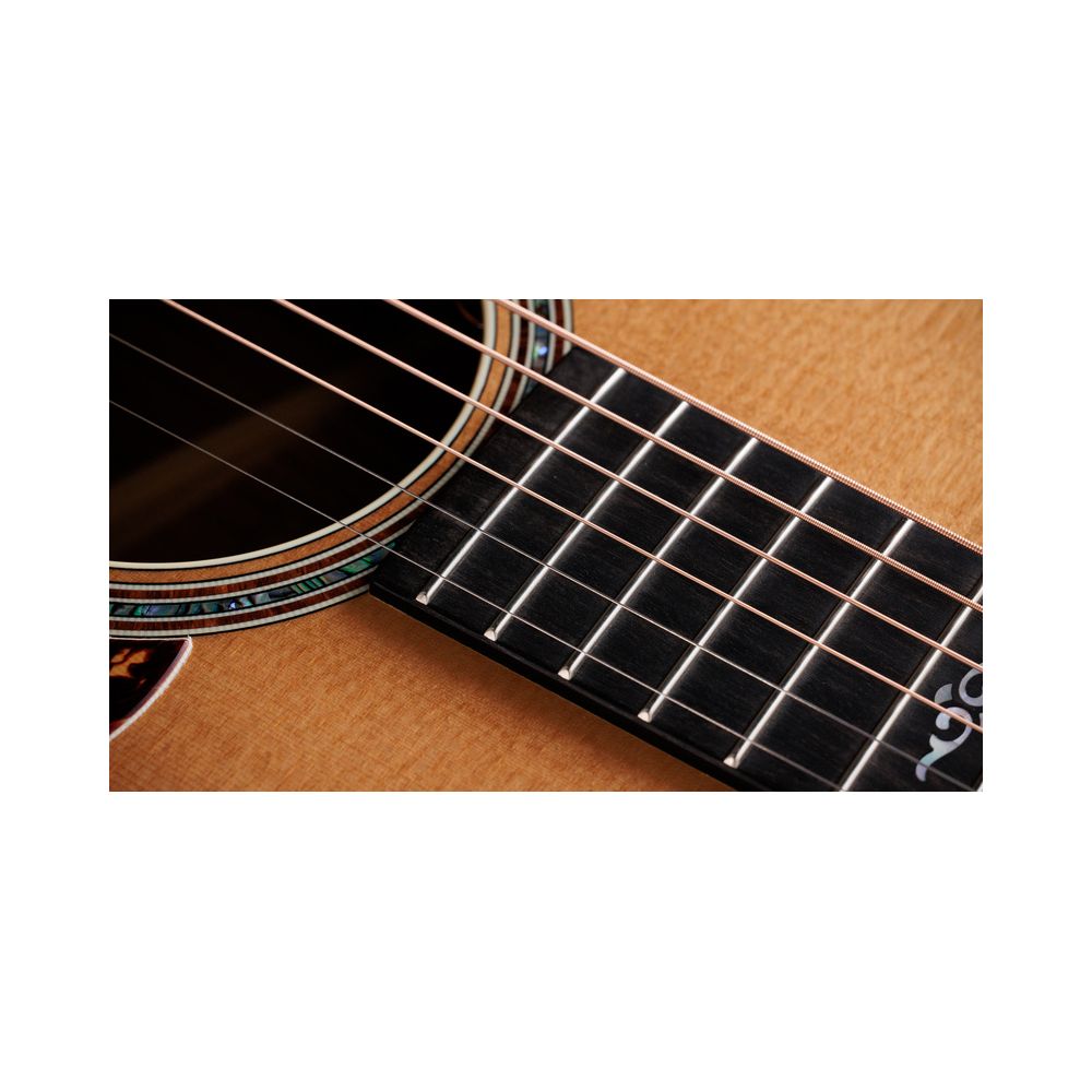 Taylor Gold Label 814e – Thomann Ireland