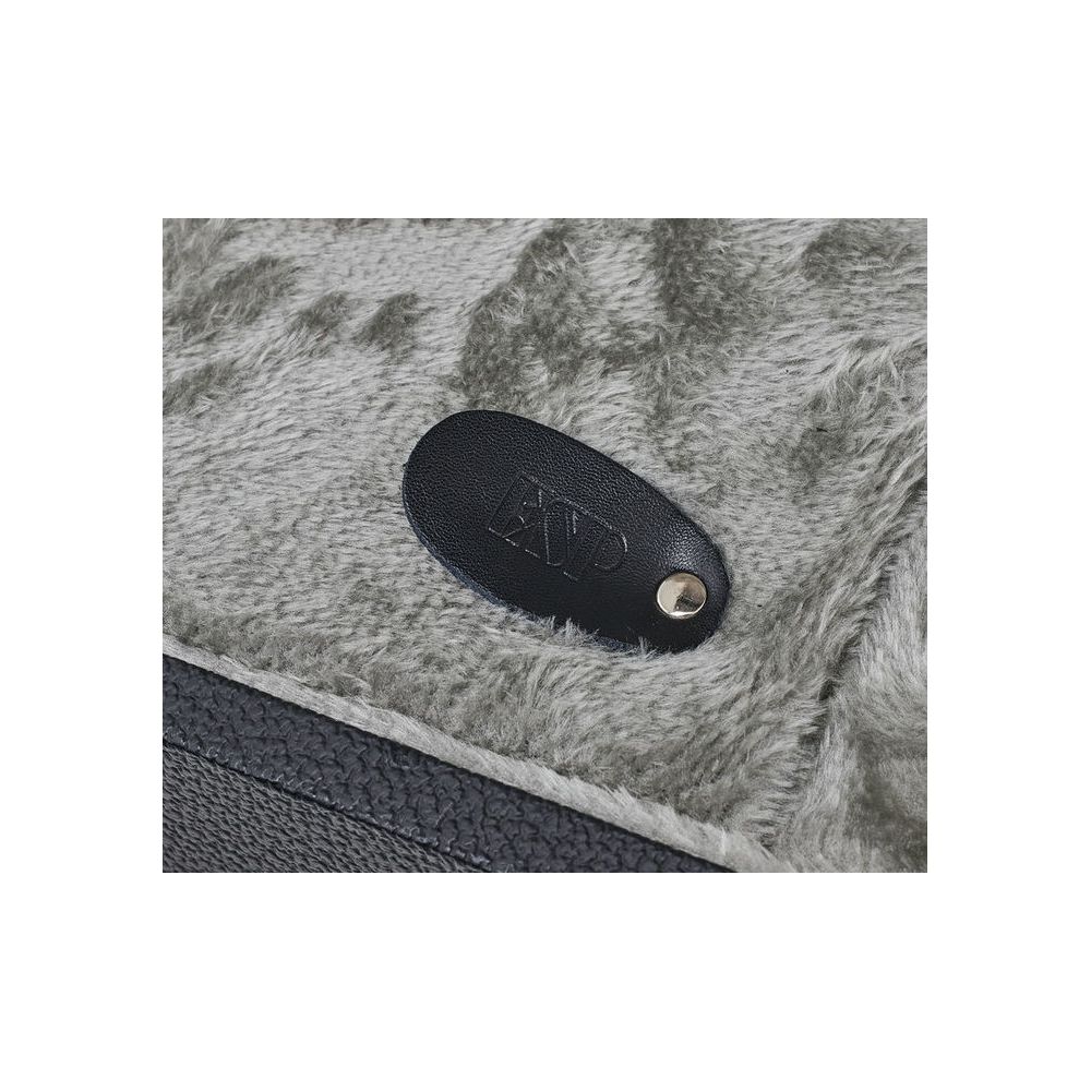 ESP LTD Case CVFF f. Alexi – Thomann Ireland