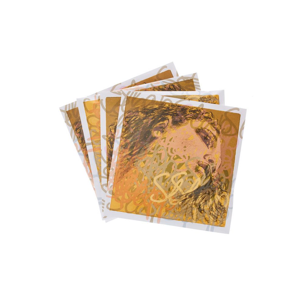 Pirastro Evah Pirazzi Slap Strings Syn. – Thomann Ireland