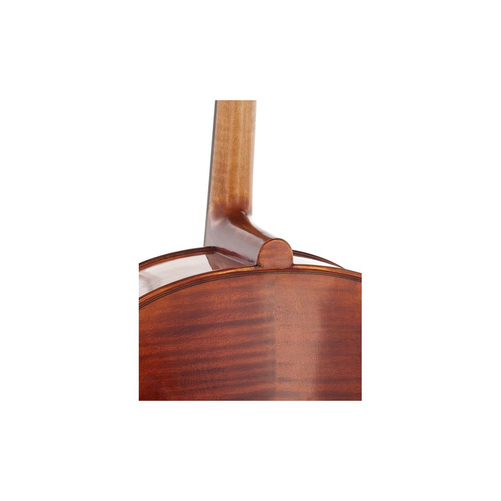 Gewa Maestro 31 Antique Cello 4/4 – Thomann Ireland