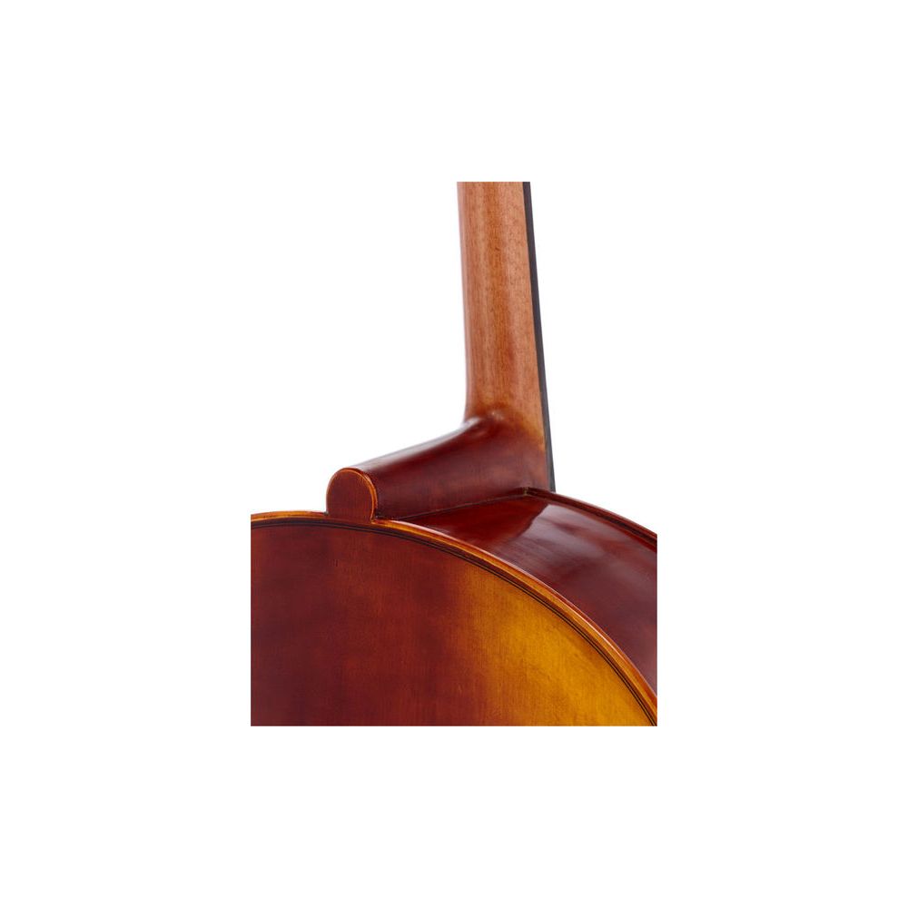 Gewa Maestro 6 Cello 4/4 – Thomann Ireland