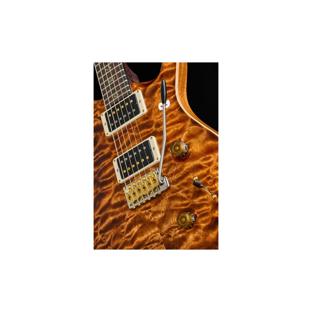PRS Custom 24 Wood Library CH – Thomann Ireland