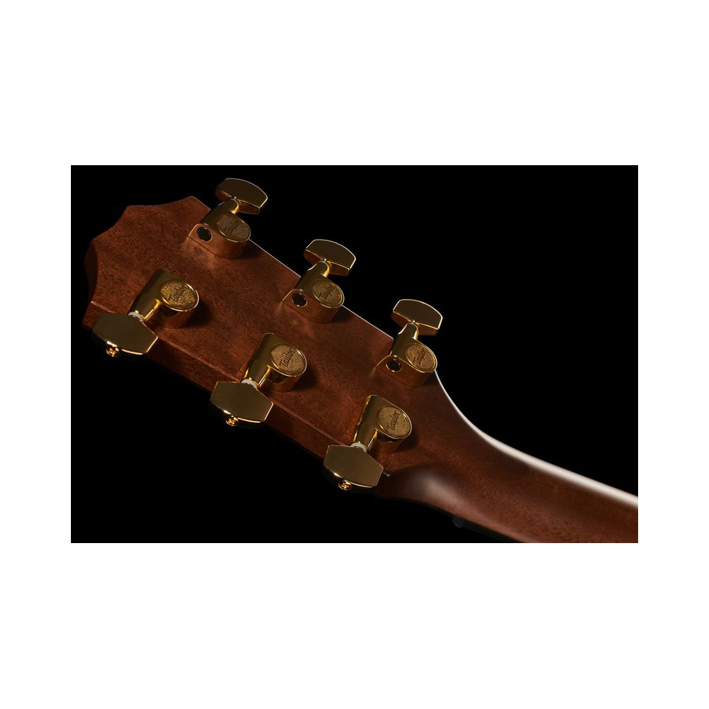 Taylor 312ce 50th Anniversary – Thomann Ireland