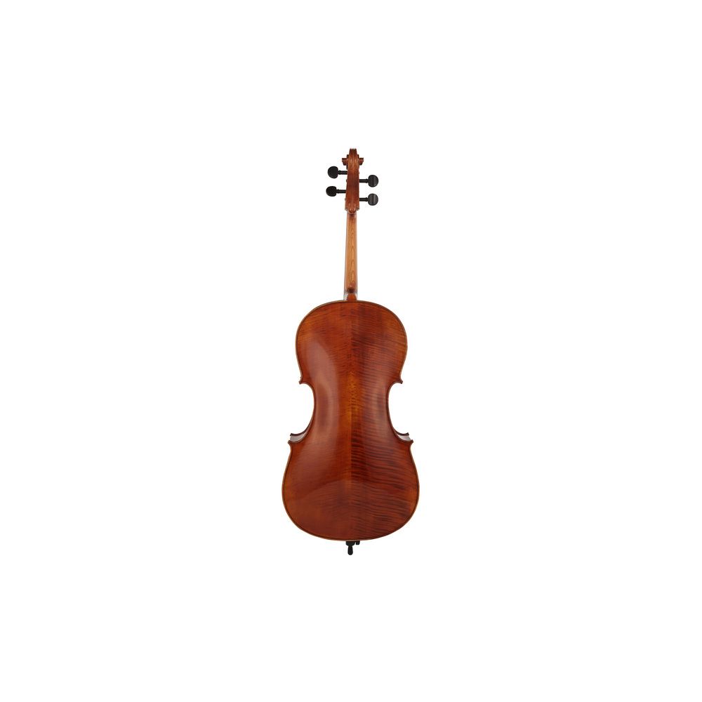 Gewa Maestro 31 Cello 4/4 – Thomann Ireland