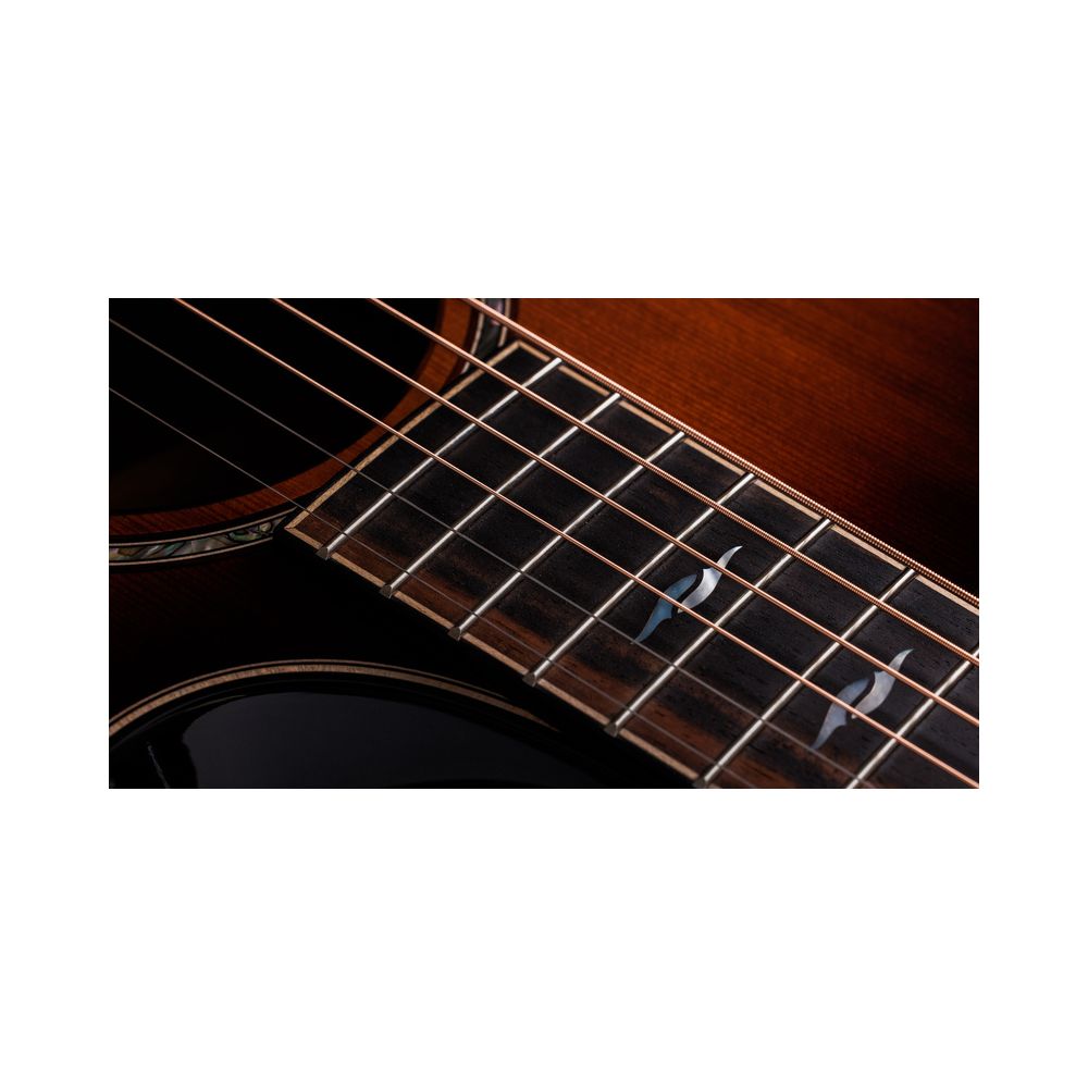 Taylor Builder’s Ed. 814ce Sinker – Thomann Ireland